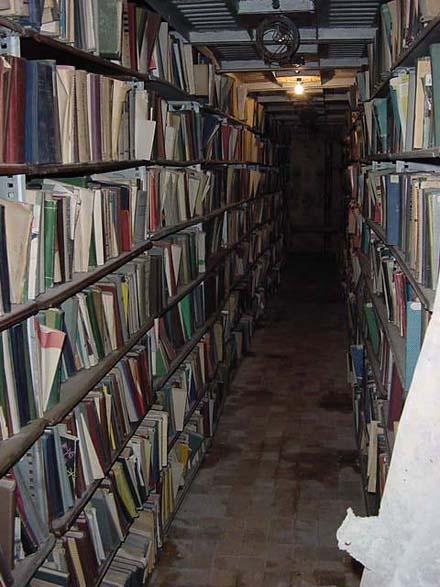 "Продвинутые" книгохранилища