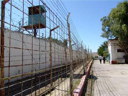 Должность психолога в колонии носит формальный характер