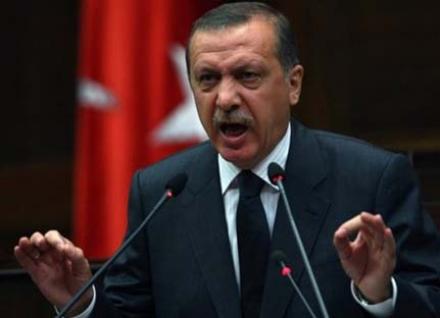 "Мягкое подбрюшье Европы" как база для террористов Эрдоган призвал страны