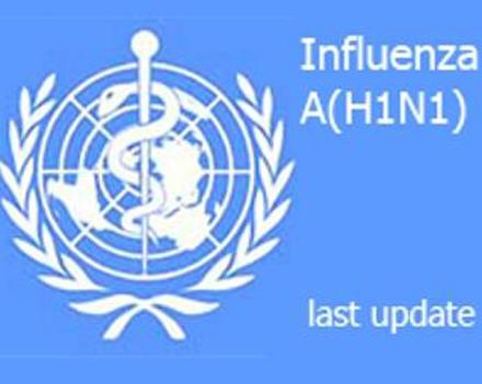 Число заболевших гриппом H1N1 приблизилось к 95 тысячам