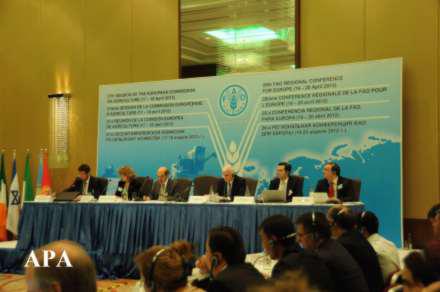 Азербайджан становится донором программы FAO