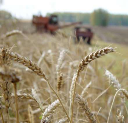 Азербайджан говорит о достижениях в аграрном секторе