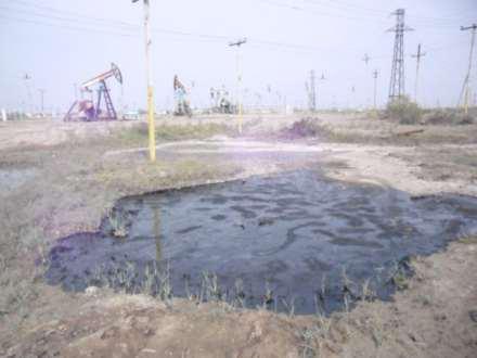 Нефтяные болота