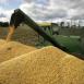 Объем производства сельхозпродукции увеличился в Азербайджане на 7,1%