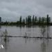 Водный апокалипсис Водный апокалипсис